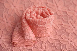 Image of Plush Coral Lace