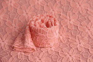 Image of Plush Coral Lace