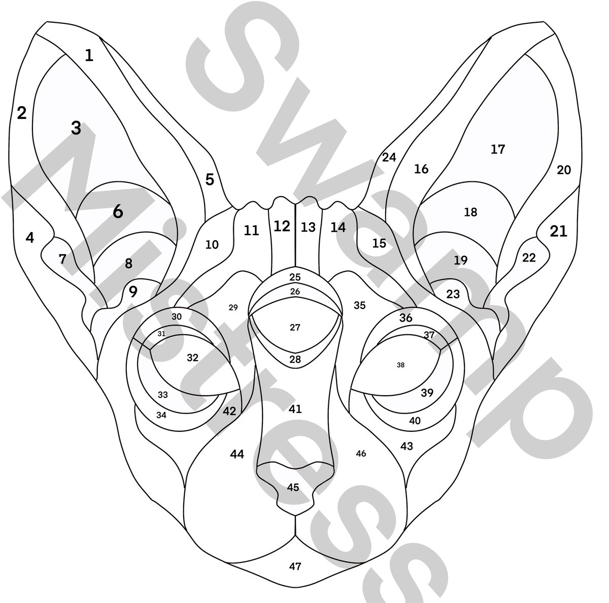 Image of 3 Eyed Sphinx Pattern