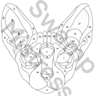 Image 1 of 3 Eyed Sphinx Pattern