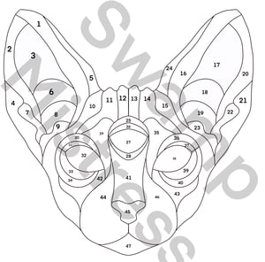 Image of 3 Eyed Sphinx Pattern