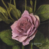 Pink Rose Gouache Study 6x6"