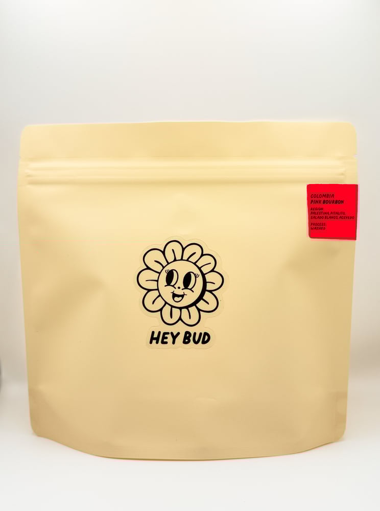 Image of Colombia Pink Bourbon - Huila