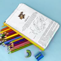 Image 2 of Frogs Book Page Pencil Case