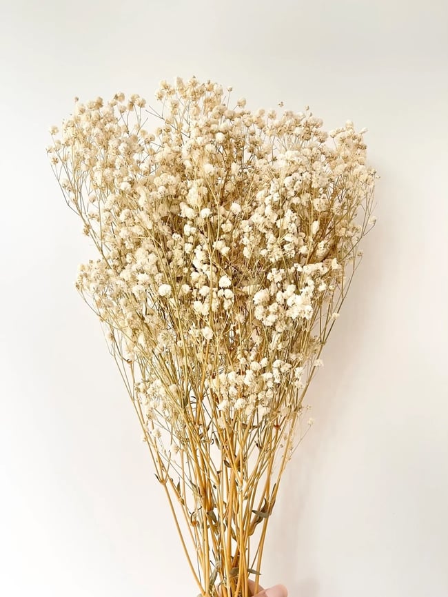 Dried Flower Embellishment