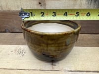 Image 2 of 5” pot plant