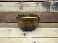 Image 4 of 5” pot plant