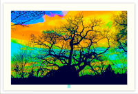 Image 1 of WILD SKY IN SANTA FE 