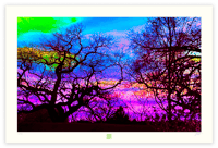 Image 1 of WILD SANTA FE NIGHT
