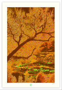 Image 1 of ORANGE CRUSH (36X24)