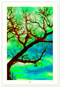 Image 1 of HANGING TREE (36X24)