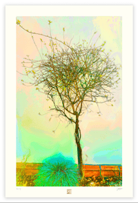 Image 1 of SOMEDAY I'LL BE A TREE (36X24)