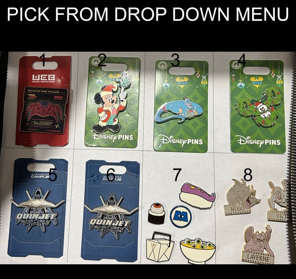 Image of assorted park pins open edition