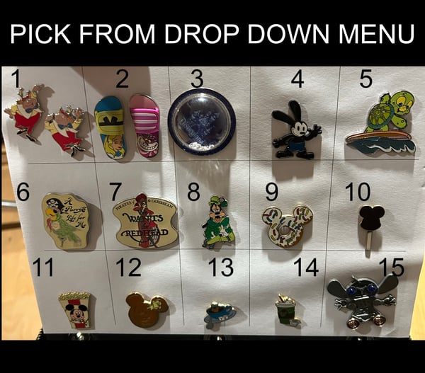 Image of assorted park pins 6