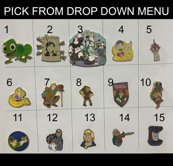 Image of assorted park pins 7