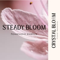 Image 1 of Steady Bloom
