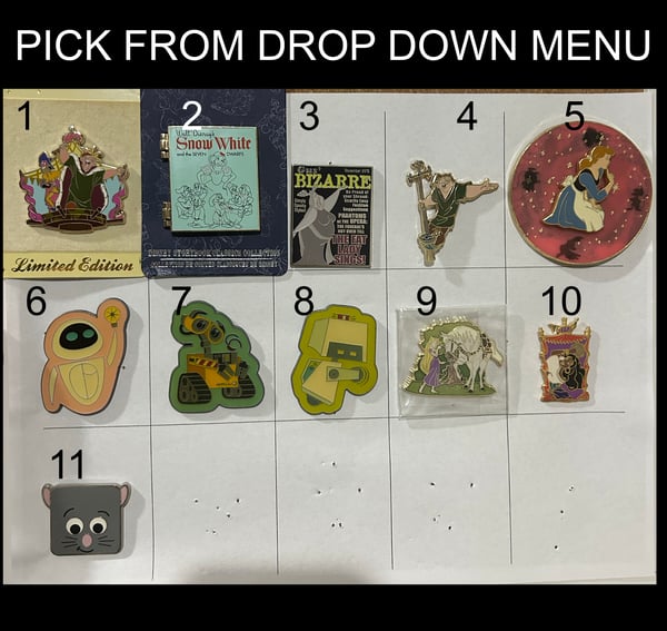 Image of LE disney store pins