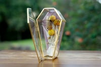 Image 1 of Gold Glass Coffin