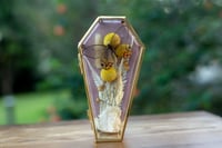 Image 2 of Gold Glass Coffin