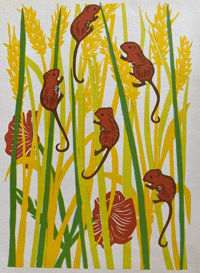 Image 3 of The Harvest Mouse by Eileen Saville Taylor