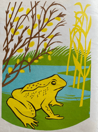 Image 4 of The Frog by Eileen Saville Taylor
