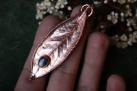 Image 1 of Vera foglia di alloro elettroformata in rame lucido con labradorite blu