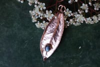 Image 3 of Vera foglia di alloro elettroformata in rame lucido con labradorite blu