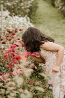 Image of Flower Farm Mini Session Retainer