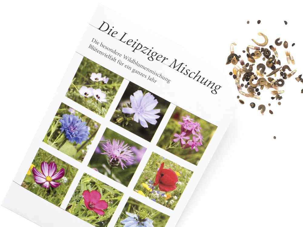 Image of BLUMENWIESE Leipziger Mischung