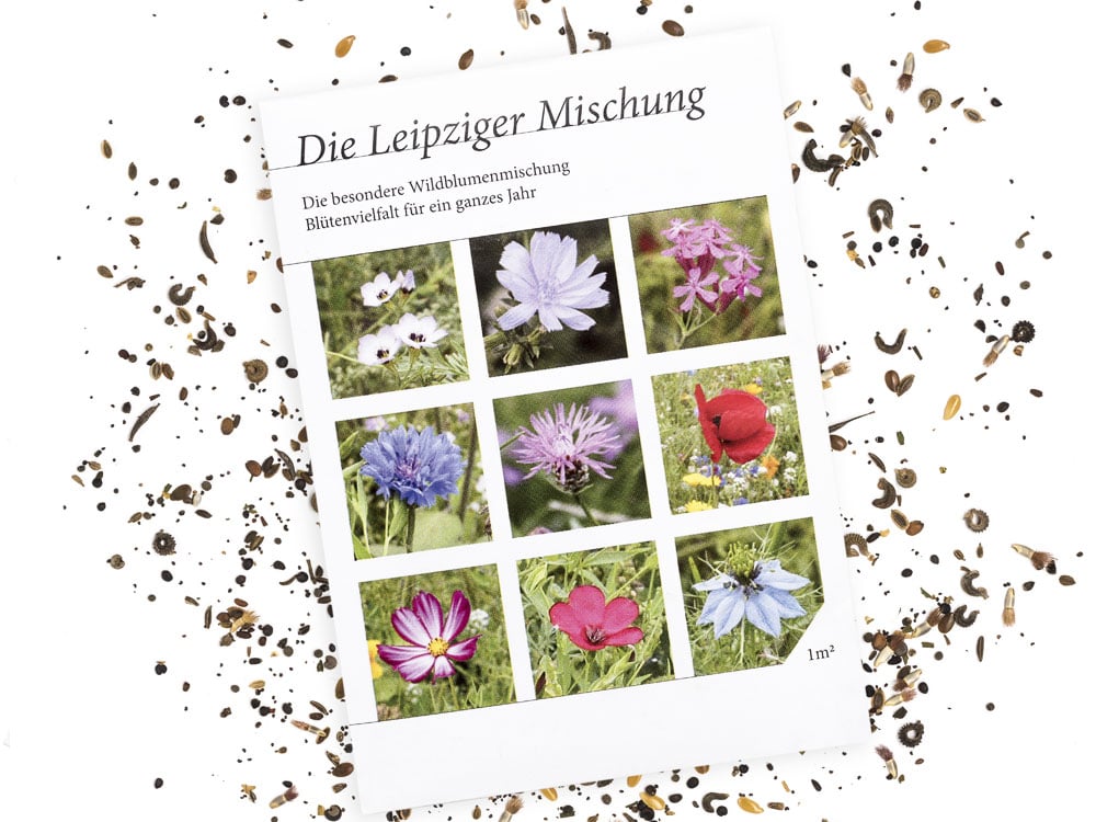 Image of BLUMENWIESE Leipziger Mischung