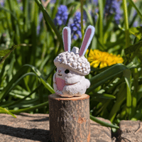 Image 3 of Acorn Baby Bunny.
