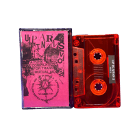 "UP IN ARMS 2"- A PUNK COMP FOR TRANS MUTUAL AID