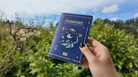 Image 4 of V1 Genshin Passport Covers✦ Genshin Impact