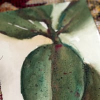 Image 2 of Ficus Elastica ,Eco Bamboo Fine Art Print