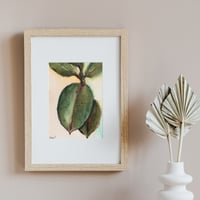 Image 1 of Ficus Elastica ,Eco Bamboo Fine Art Print