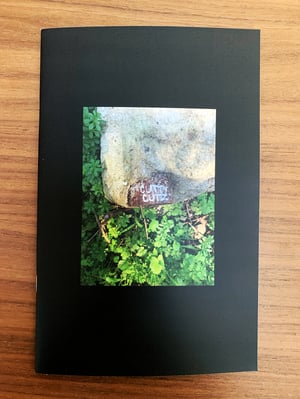 Image of DIY•IZM #2