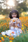 Flower Fields Sunset Sessions