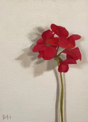 Image of Some Hope