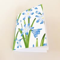 Image 3 of Glory Of The Snow Pocket Notebook