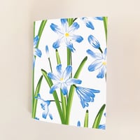 Image 1 of Glory Of The Snow Pocket Notebook
