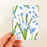 Image 2 of Glory Of The Snow Pocket Notebook