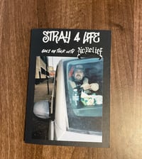 Stray 4 Life zine goes on tour with No Relief