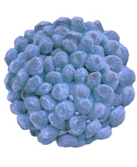 Sour Grape Gushies