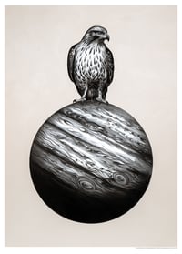 Buzzard of Ganymedes