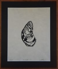 Mussel