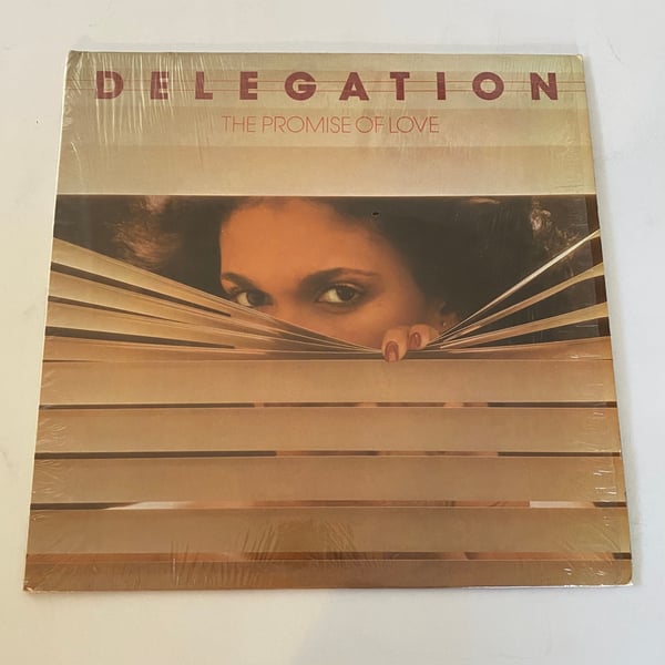Image of Delegation "The Promise Of Love"