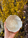 Mise en place bowl 3