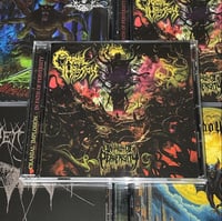 Image 2 of CRANIAL IMPLOSION  “In Path Of Perversity” CD 