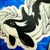 Image 3 of Orca in Kelp Sticker 