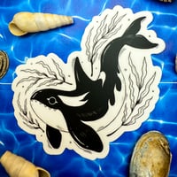 Image 1 of Orca in Kelp Sticker 
